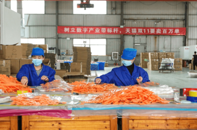 天貓雙11開門紅 產(chǎn)業(yè)帶爆發(fā)式增長，7個(gè)產(chǎn)地首小時(shí)銷售額破億，日用百貨引領(lǐng)消費(fèi)熱潮